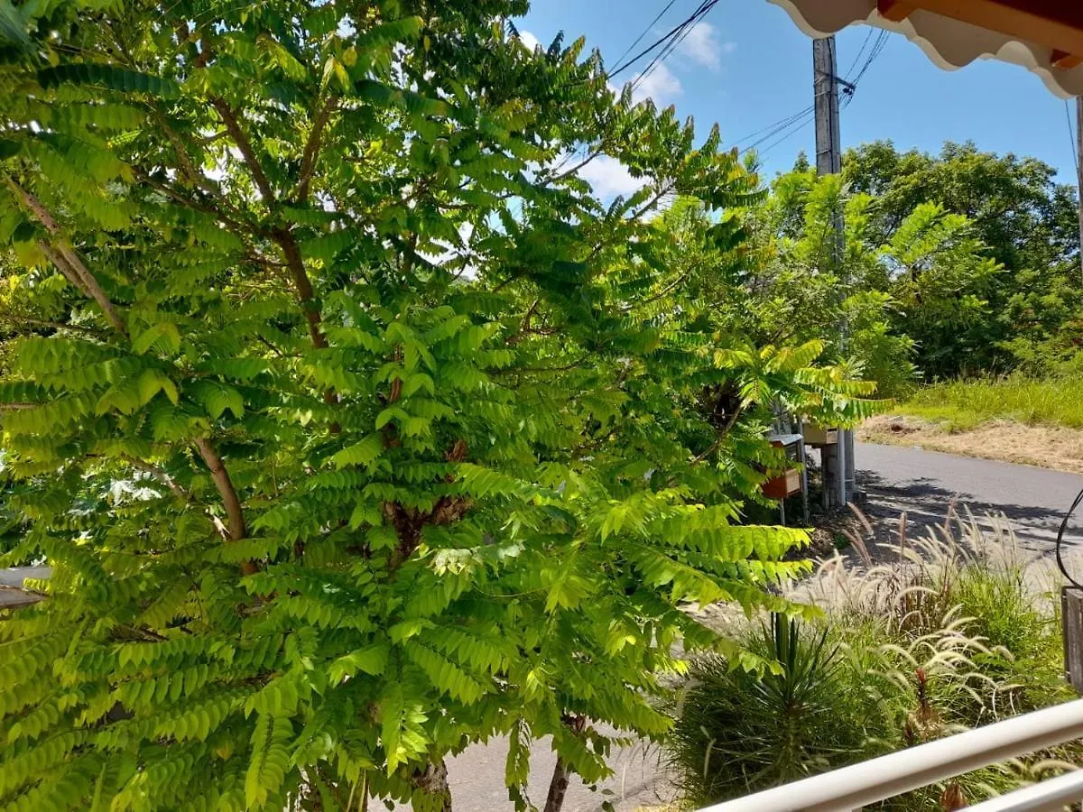 Paradyse Den'S Pres Sources D'Eau Chaudes , Paisible , Vue Sur Mer , Wifi بويانت شقة